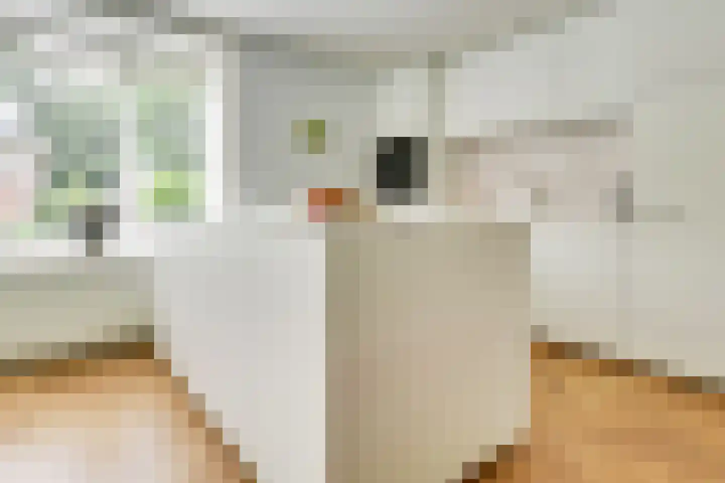 Spinozalaan 19 Zeist thumbnail 10