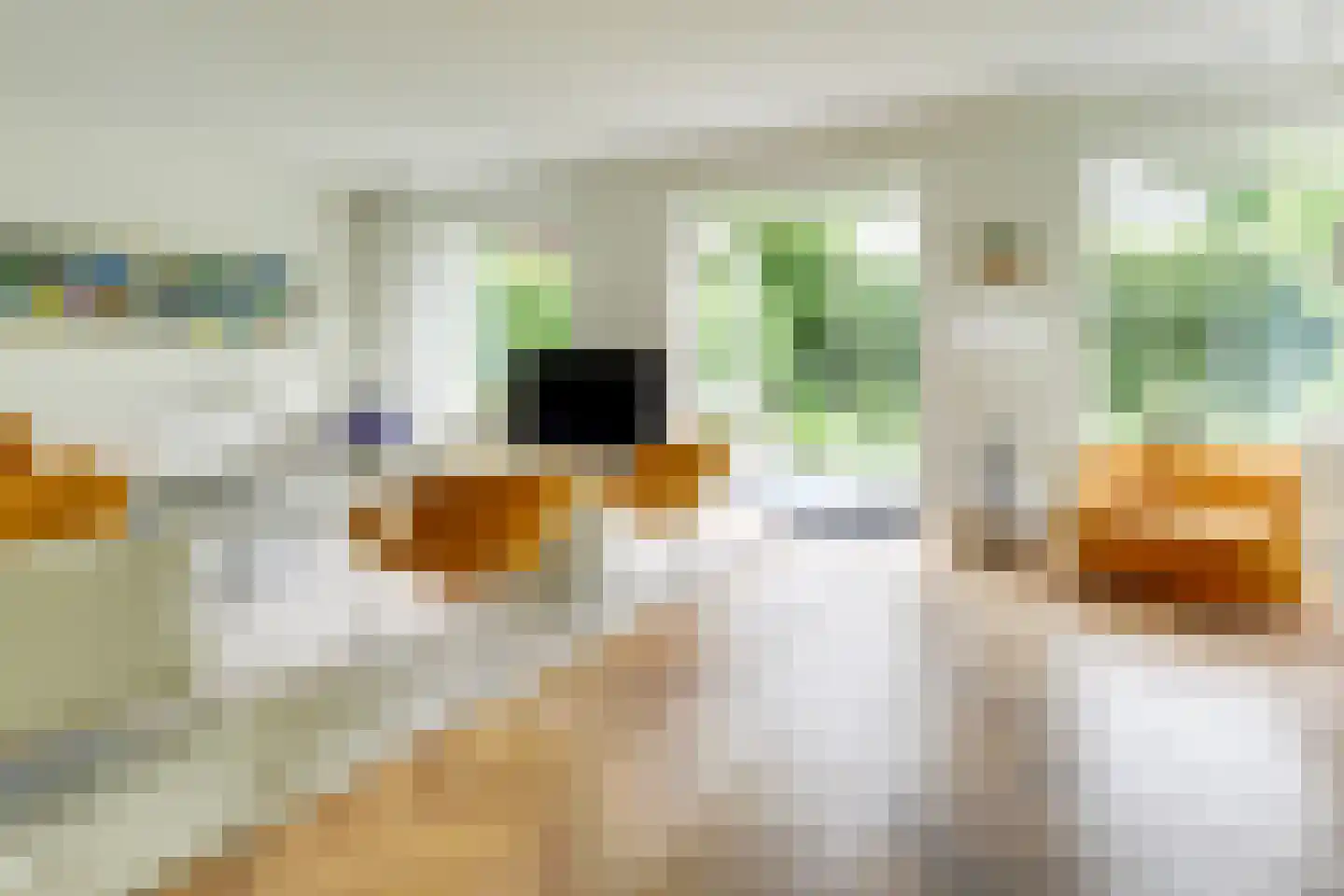 Spinozalaan 19 Zeist thumbnail 4