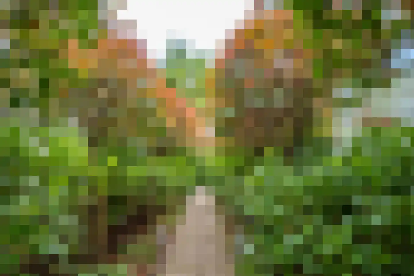 Spinozalaan 19 Zeist thumbnail 52