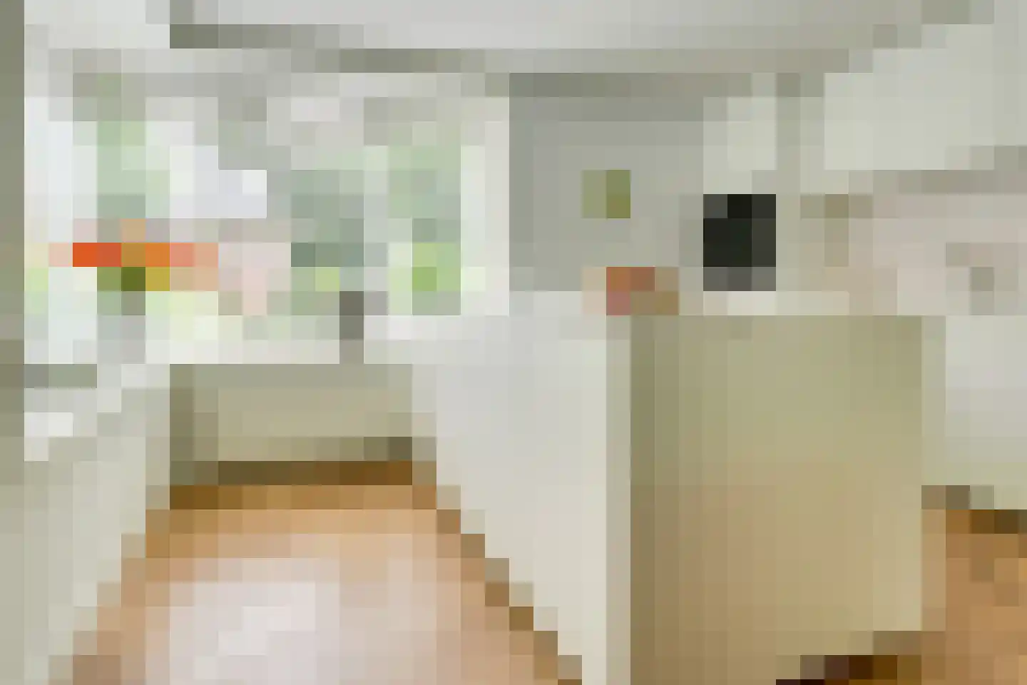 Spinozalaan 19 Zeist thumbnail 9
