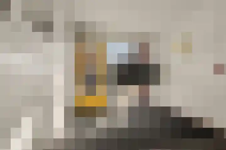 Spinozalaan 2 D Rijnsburg thumbnail 10