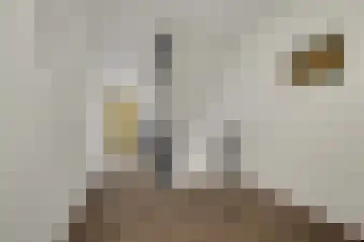 Spinozalaan 2 D Rijnsburg thumbnail 12