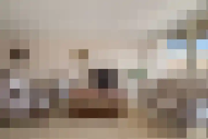 Spinozalaan 2 D Rijnsburg thumbnail 16
