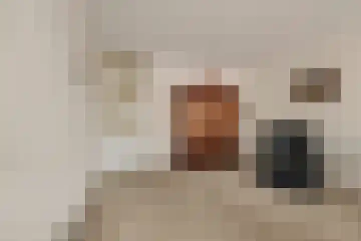 Spinozalaan 2 D Rijnsburg thumbnail 23