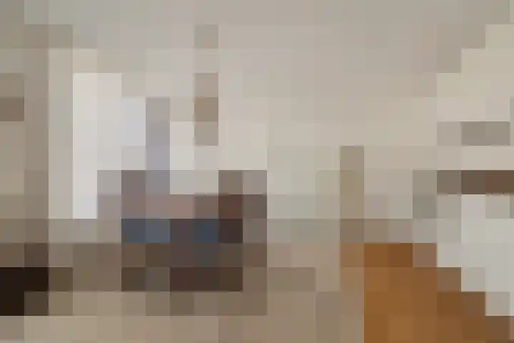 Spinozalaan 2 D Rijnsburg thumbnail 25