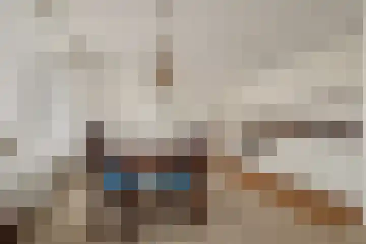 Spinozalaan 2 D Rijnsburg thumbnail 26