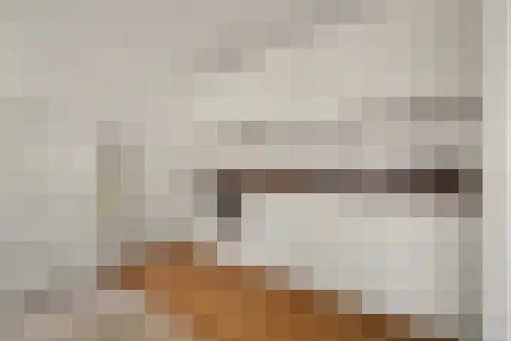Spinozalaan 2 D Rijnsburg thumbnail 27
