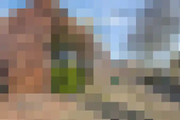 Spinozalaan 2 D Rijnsburg thumbnail 38