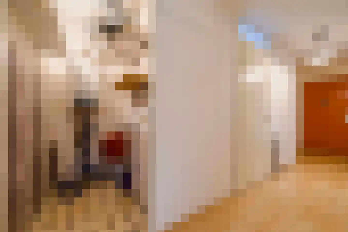 Spinozalaan 2 K Rijnsburg thumbnail 31