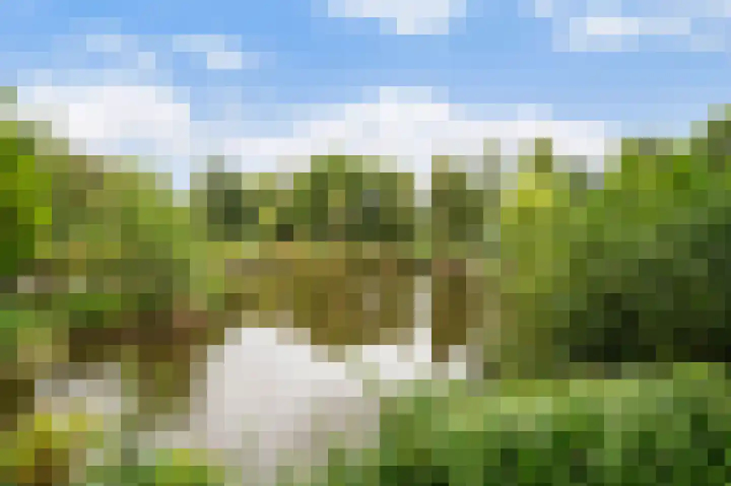 Spinozalaan 201 Voorburg thumbnail 24