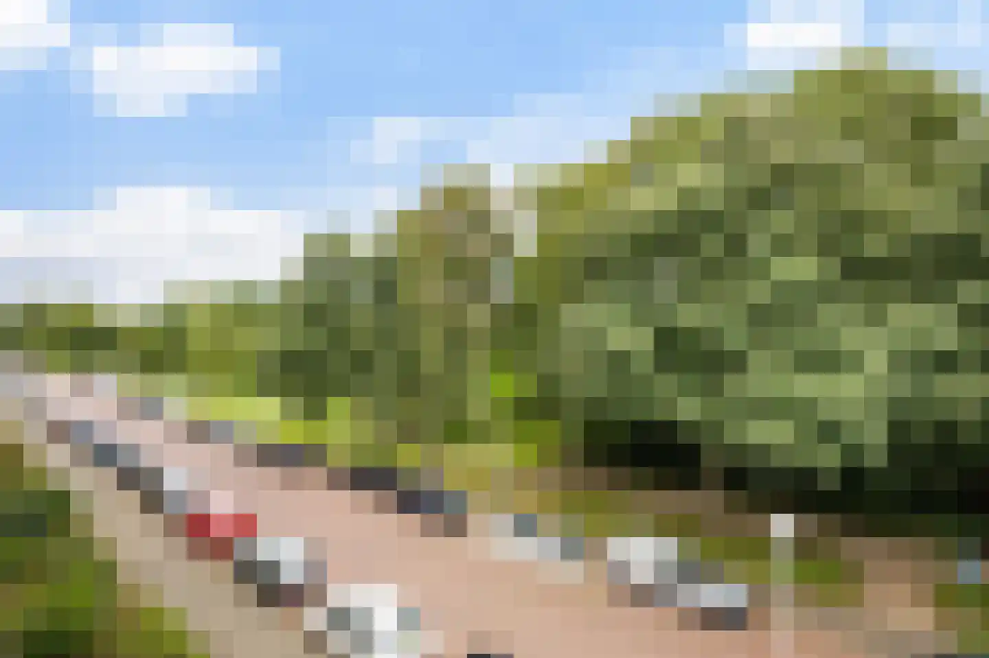 Spinozalaan 201 Voorburg thumbnail 8