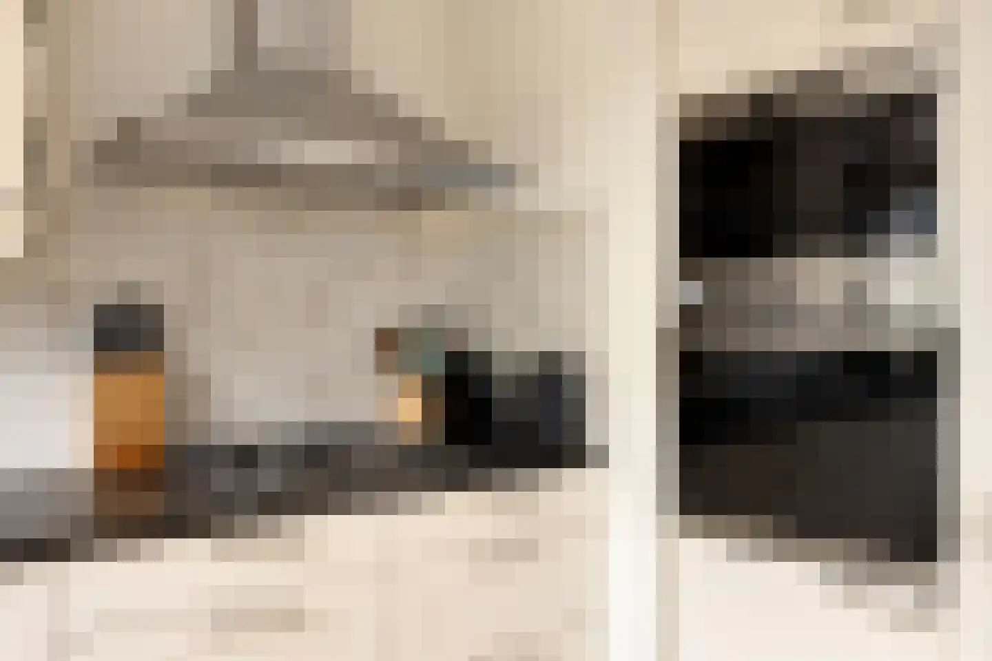 Spinozalaan 205 Voorburg thumbnail 15
