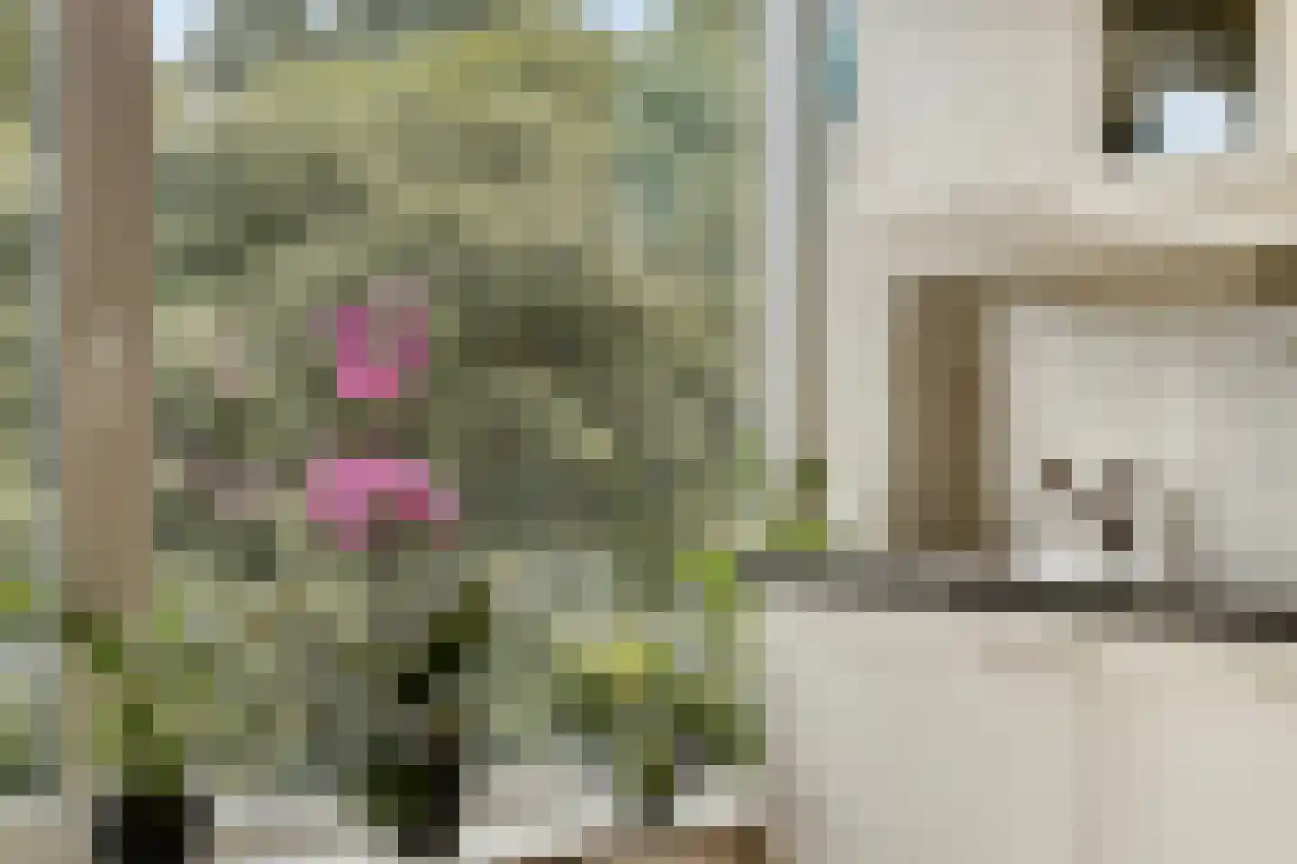 Spinozalaan 205 Voorburg thumbnail 16