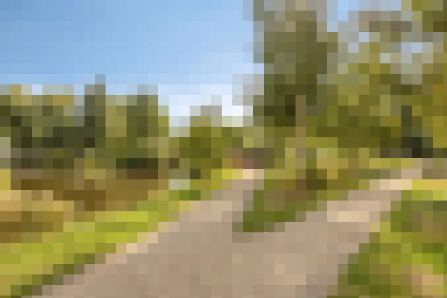 Spinozalaan 205 Voorburg thumbnail 31