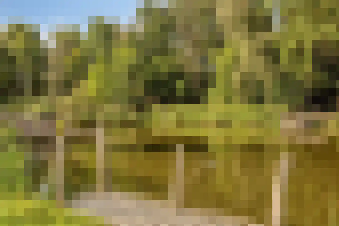Spinozalaan 205 Voorburg thumbnail 32