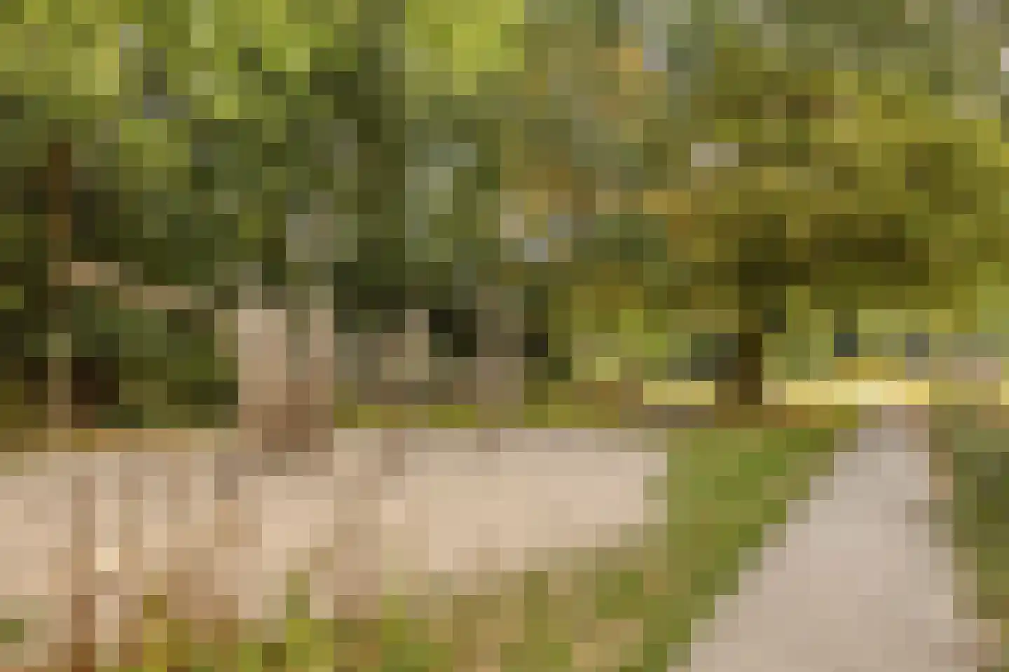 Spinozalaan 205 Voorburg thumbnail 33