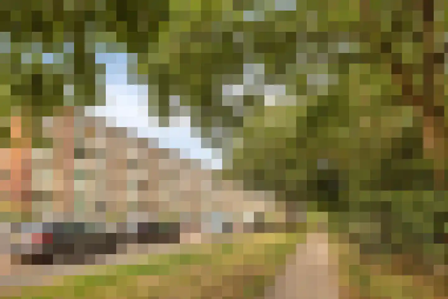 Spinozalaan 205 Voorburg thumbnail 34