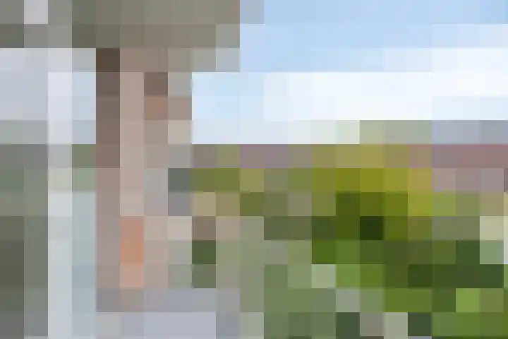 Spinozalaan 215 Voorburg thumbnail 12