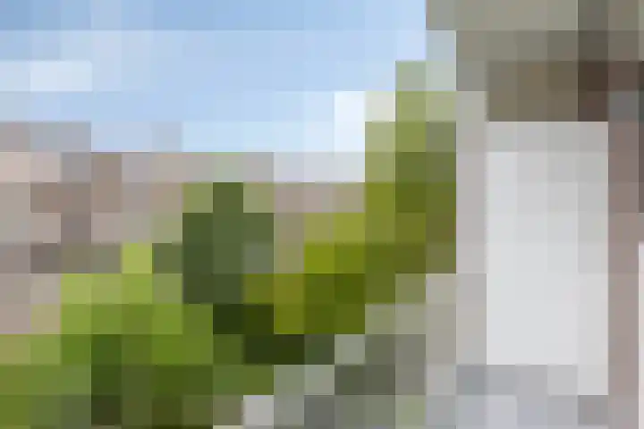 Spinozalaan 215 Voorburg thumbnail 13