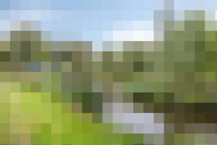 Spinozalaan 215 Voorburg thumbnail 14