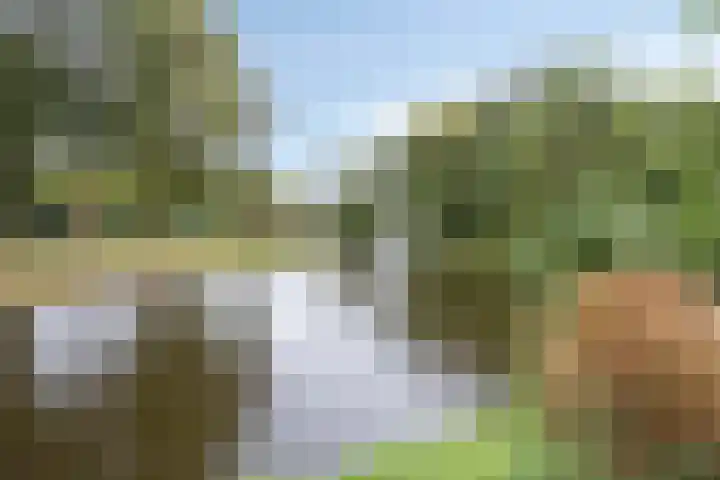 Spinozalaan 215 Voorburg thumbnail 15