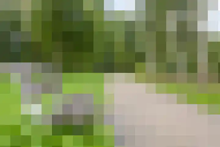 Spinozalaan 215 Voorburg thumbnail 17
