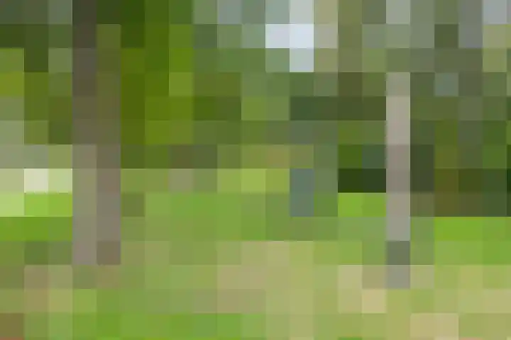 Spinozalaan 215 Voorburg thumbnail 18