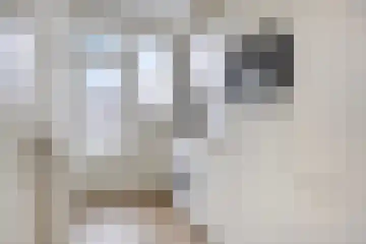Spinozalaan 215 Voorburg thumbnail 6