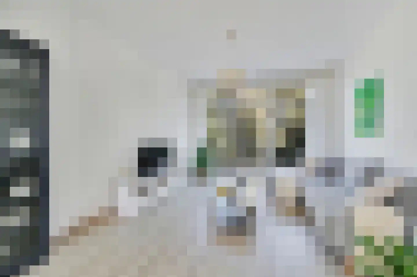 Spinozalaan 217 Voorburg thumbnail 11