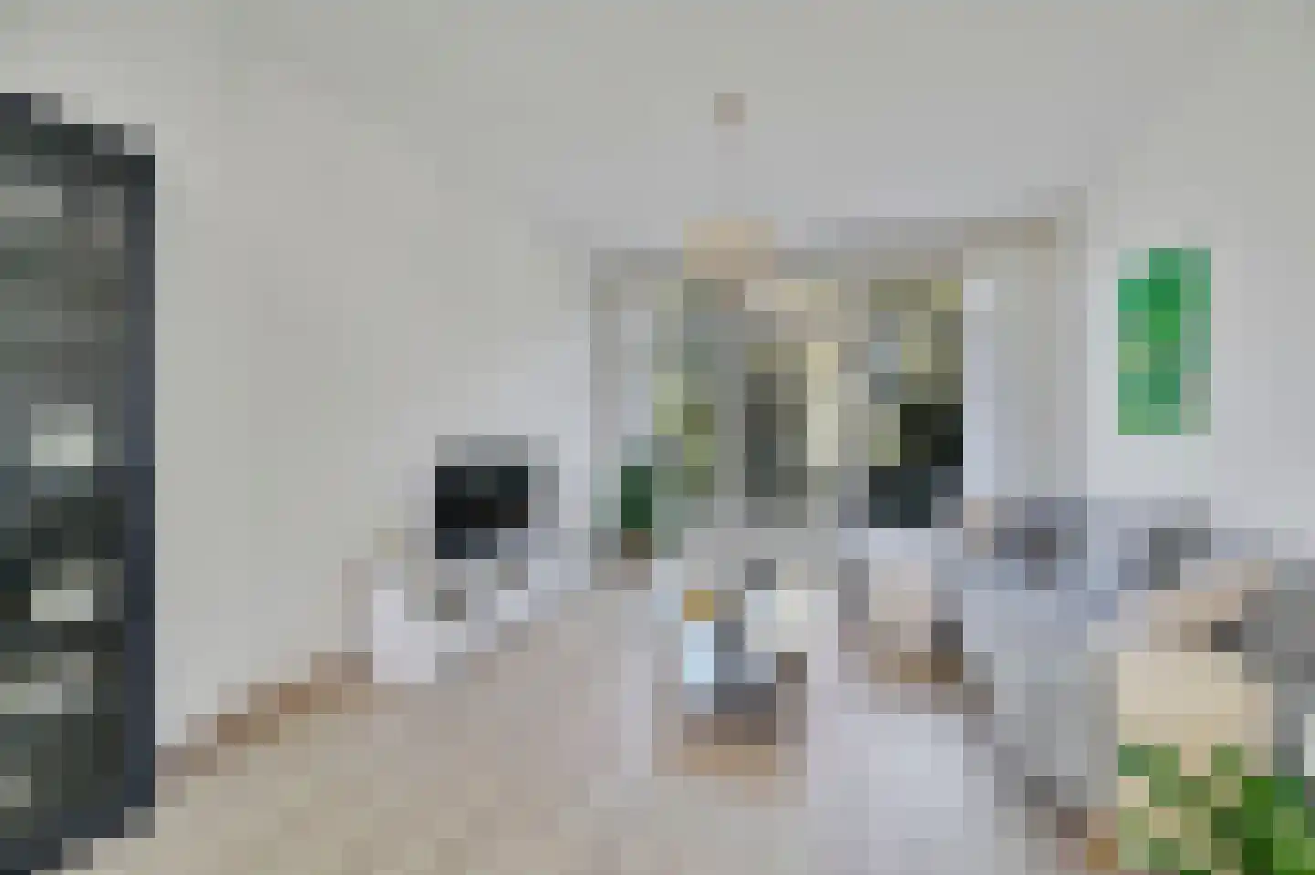 Spinozalaan 217 Voorburg thumbnail 12