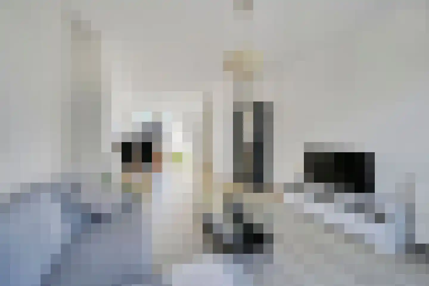 Spinozalaan 217 Voorburg thumbnail 14
