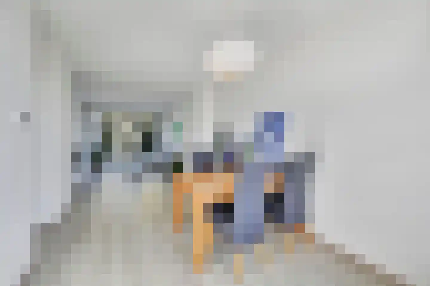 Spinozalaan 217 Voorburg thumbnail 16