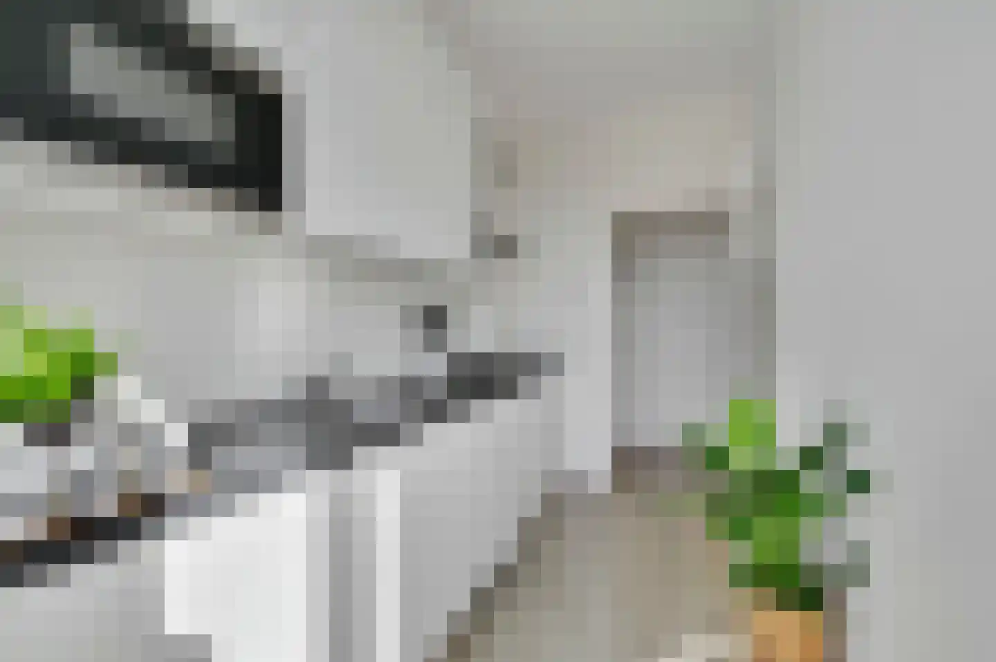 Spinozalaan 217 Voorburg thumbnail 20