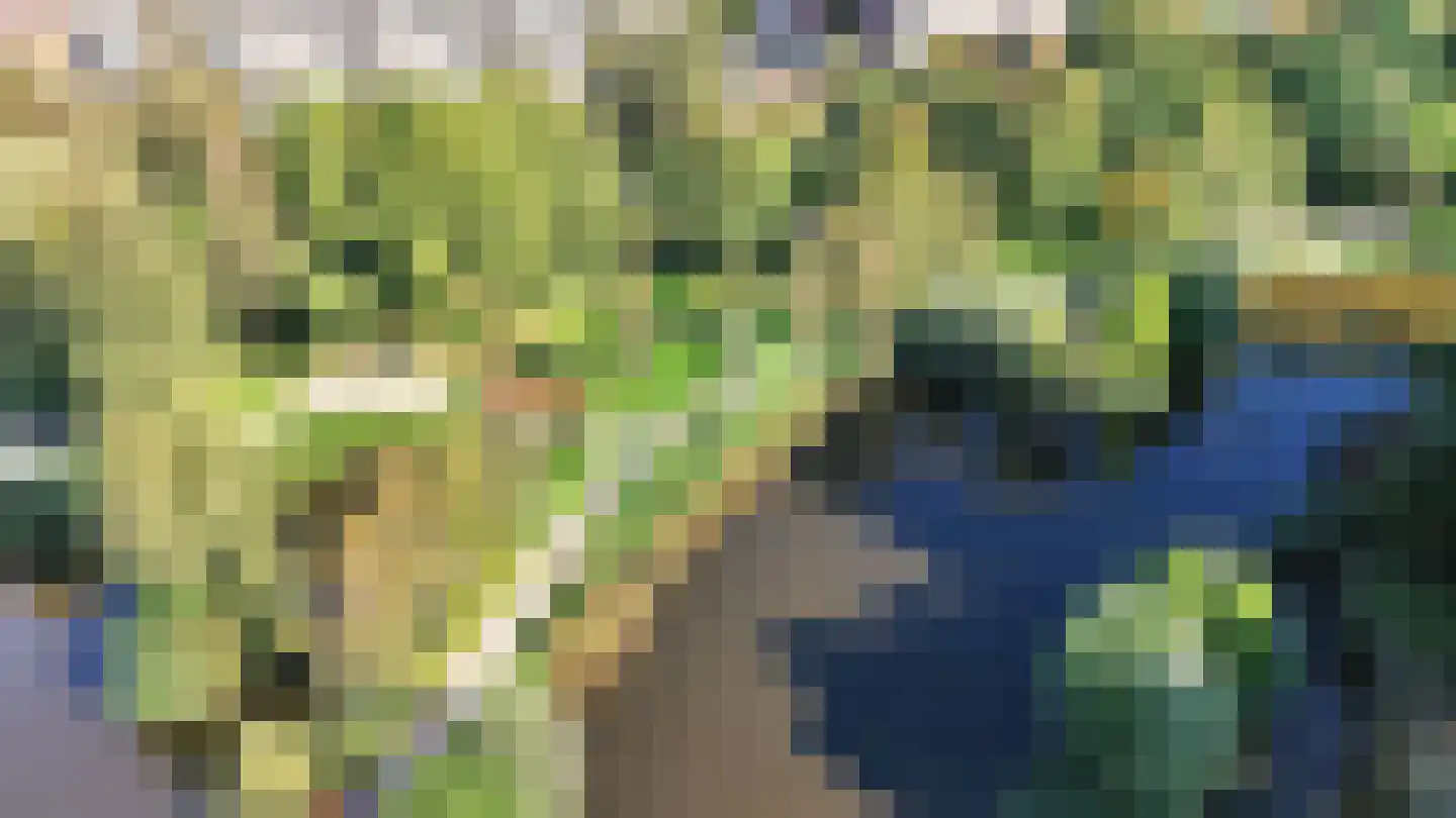 Spinozalaan 217 Voorburg thumbnail 30
