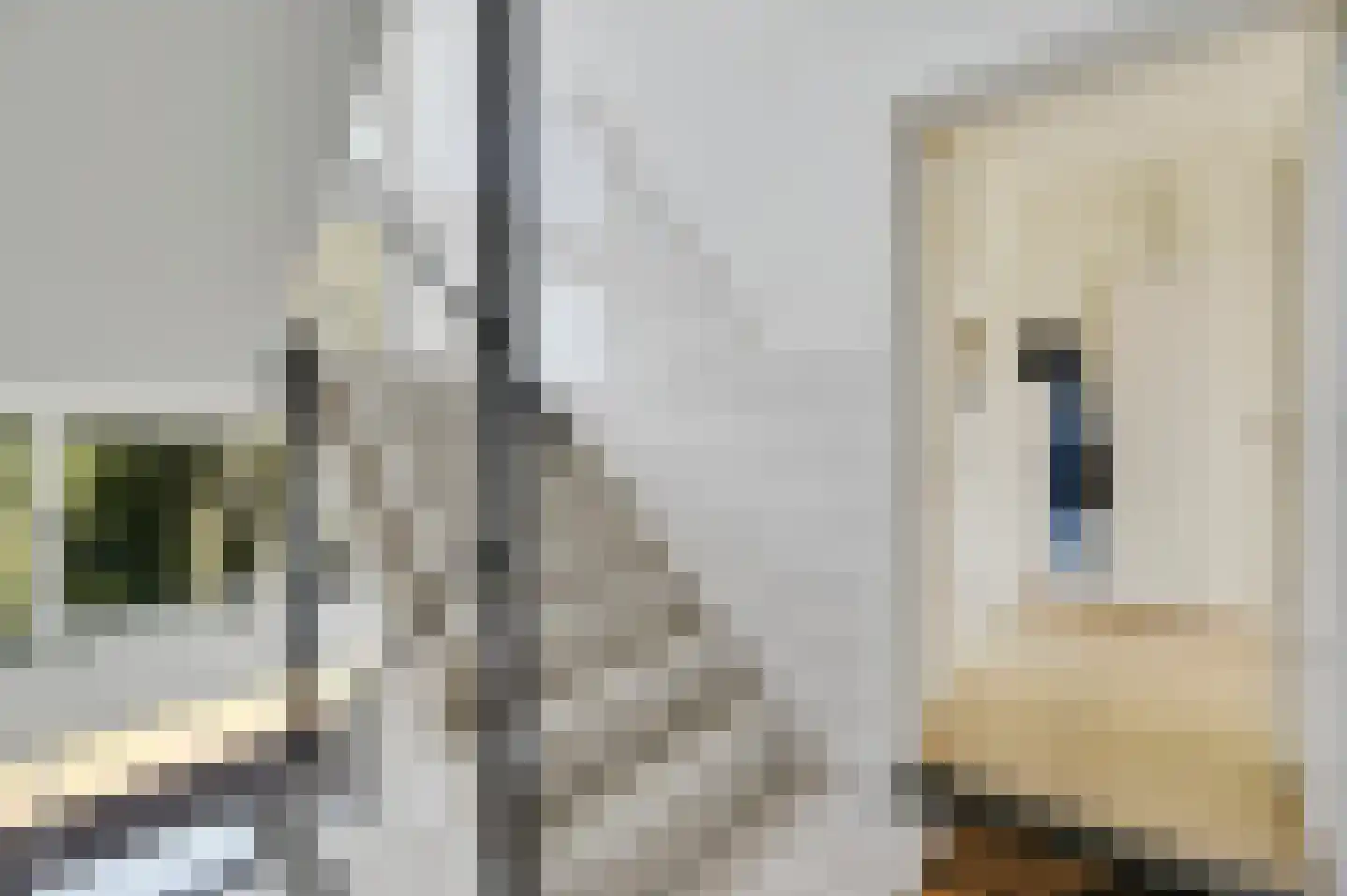 Spinozalaan 217 Voorburg thumbnail 5