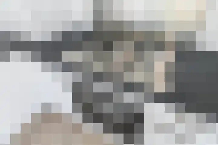 Spinozalaan 227 Voorburg thumbnail 10