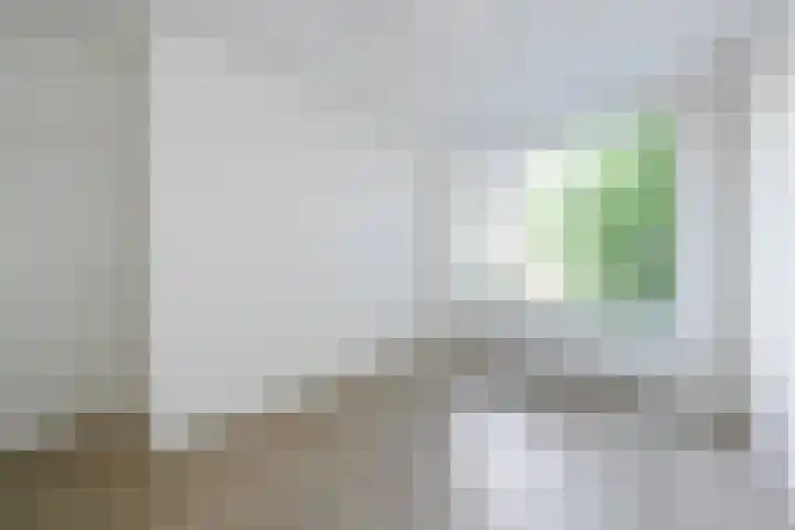 Spinozalaan 227 Voorburg thumbnail 13