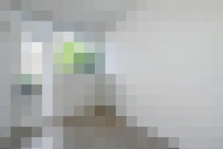 Spinozalaan 227 Voorburg thumbnail 14