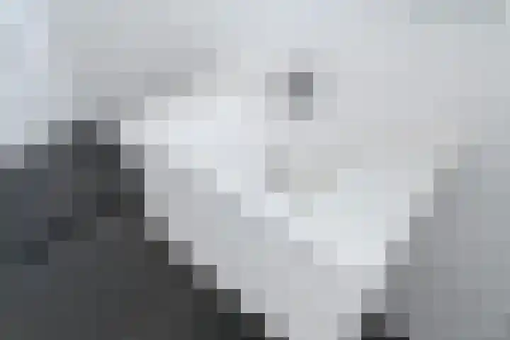 Spinozalaan 227 Voorburg thumbnail 17