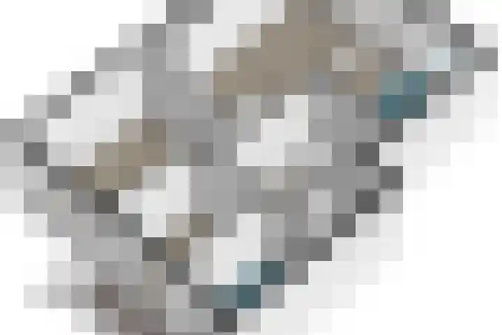 Spinozalaan 227 Voorburg thumbnail 23