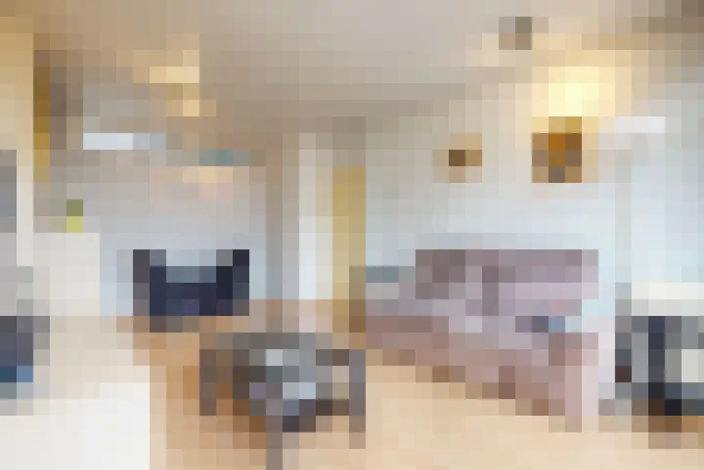 Spinozalaan 233 Voorburg thumbnail 13