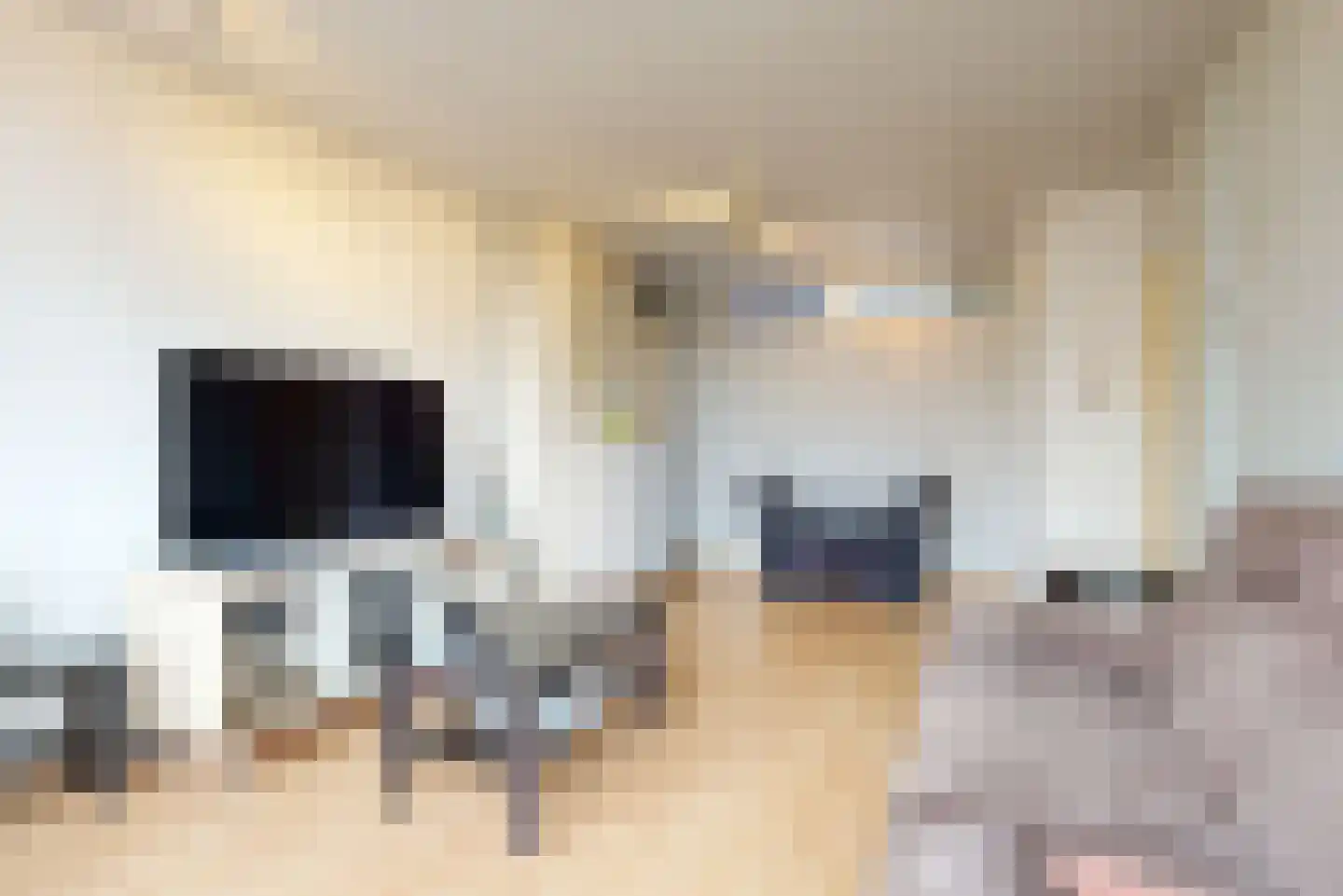 Spinozalaan 233 Voorburg thumbnail 14