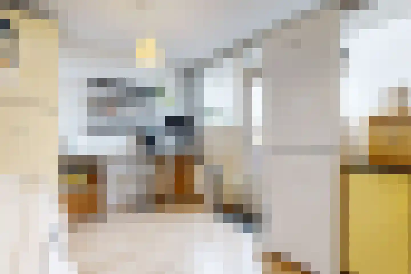 Spinozalaan 233 Voorburg thumbnail 17