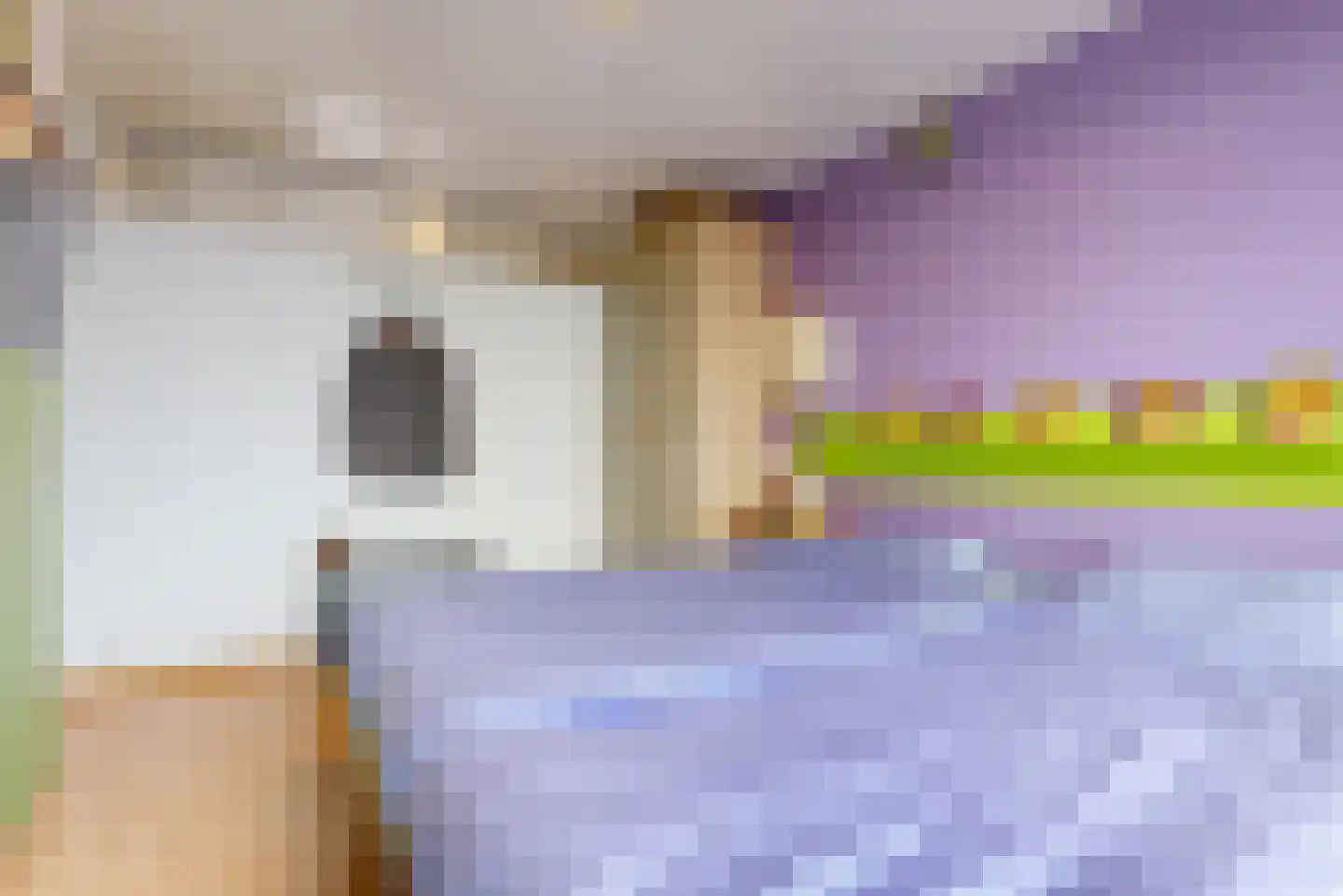 Spinozalaan 233 Voorburg thumbnail 25