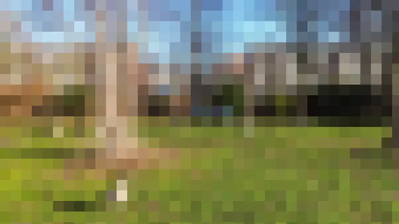 Spinozalaan 233 Voorburg thumbnail 36