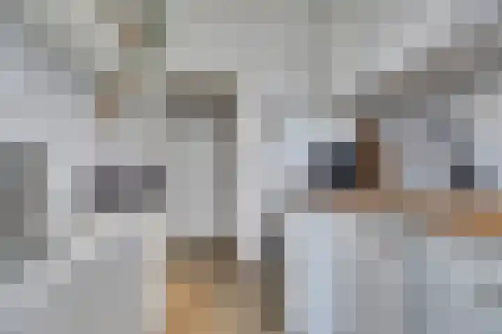 Spinozalaan 269 Voorburg thumbnail 18