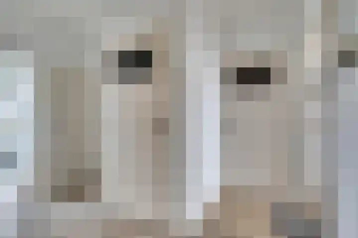 Spinozalaan 269 Voorburg thumbnail 19