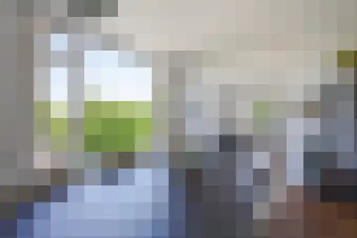 Spinozalaan 283 Voorburg thumbnail 12
