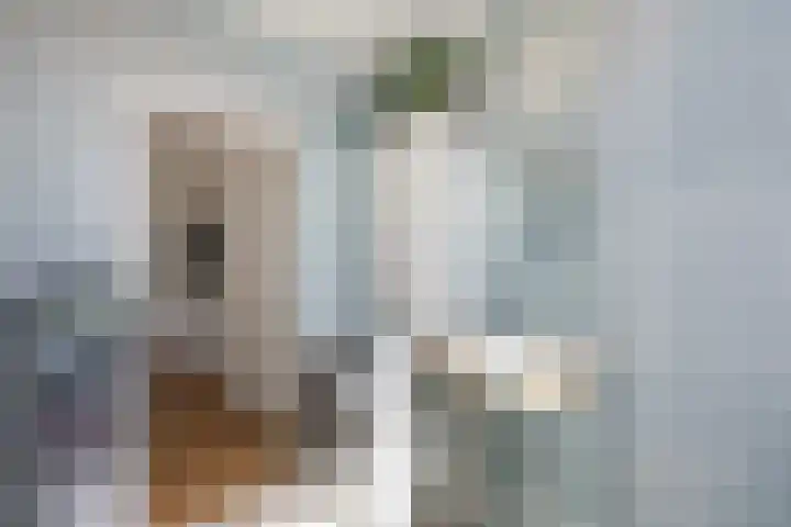 Spinozalaan 283 Voorburg thumbnail 22