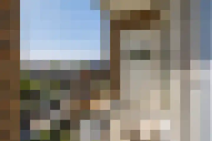 Spinozalaan 283 Voorburg thumbnail 23